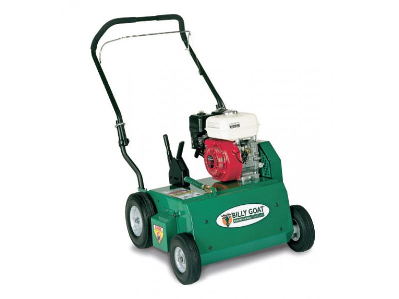 POWER RAKE (DETHATCHER)