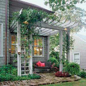 Pergola Ideas
