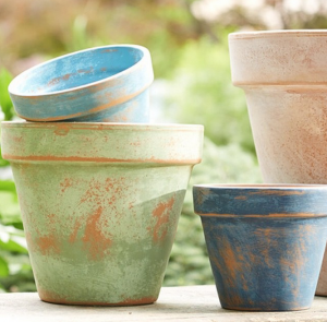 Terra Cotta Pots