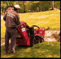 remove stumps from the ground